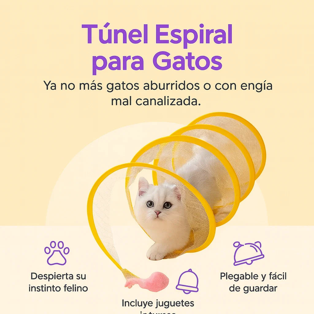 Túnel Espiral Gato